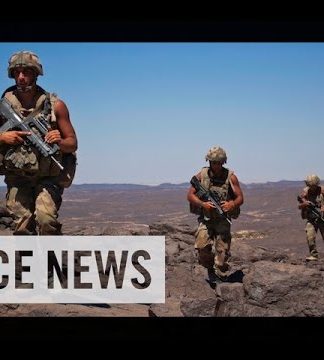 vicenews