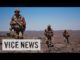 vicenews