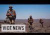 vicenews