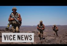 vicenews