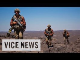 vicenews