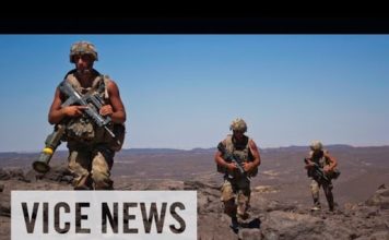 vicenews